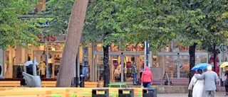 Ska vi ha ett torg som ser igenvuxet ut?