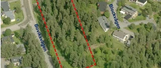 Motstånd mot nya hus i skogsområde på Alhem