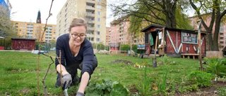 Vill upplåta mark för stadsodling