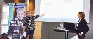 Allt lönsammare småföretag i norr