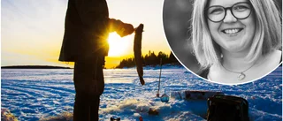 Turistföretag rasar mot stoppet för nya flyglinjen • "Jag hoppas att SAS sätter in fler plan till Luleå"