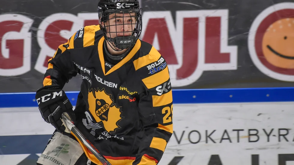 Albin Sundsvik