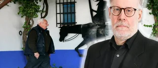 En vandring i Don Quijotes fotspår