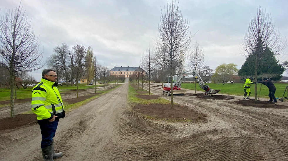 Den vackra vårblomningen med de vita, stora blomklasarna är nu ett minne blott. ”Av känslomässiga skäl har vi sparat några äldre kastanjer, blir även de angripna tar vi bort dem allt eftersom” säger Jacob von Ehrenheim.