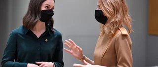 Finländsk Nato-ansökan skulle gå "blixtsnabbt"