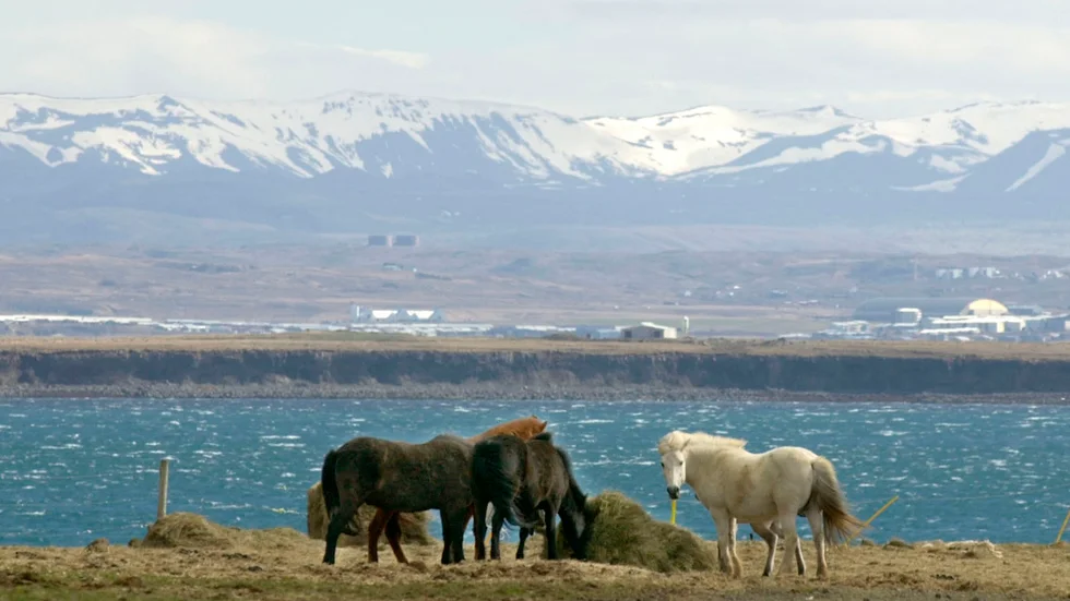 Ett litet flygplan eftersöks sedan tvåtiden på torsdagseftermiddagen i Island. Arkivbild.