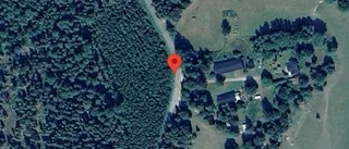Nedfallna träd påverkar trafiken på väg 668