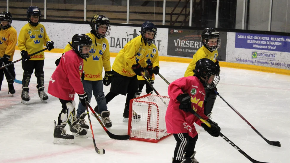 Satsningen på "Hockeykul" är en av anledningarna till att Vimmerby Hockey tilldelas årets Kultur- och fritidspris.