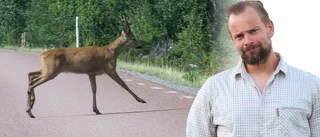 ”Smitning från viltolyckor felklassas som jaktbrott”