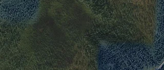 Ny ägare till skog i Gällivare kommun i mars