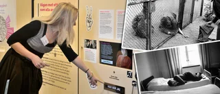 "Här har vi en historia av inlåsning och tvångssteriliseringar"