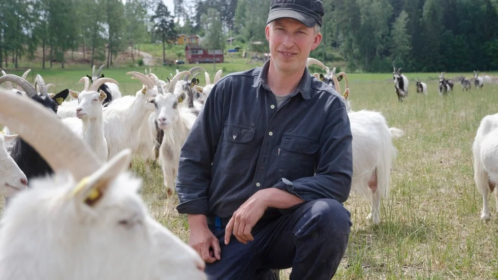 I år odlas inga grönsaker på gården på grund av torkan. Arthur Borghs driver sedan nio år tillbaks Sörbro gård tillsammans med sin hustru Åsa.
