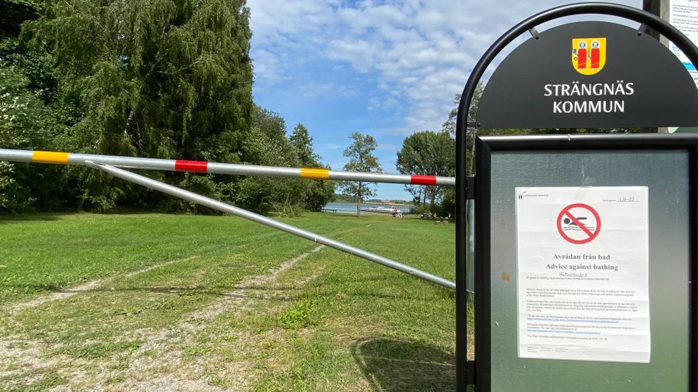 Miljöinspektörerna samlade in vattenprover under tisdagen. Då noterades algblomning vid såväl Husbybadet som Häradsbadet. Vid dessa badplatser är kommunens rekommendation att allmänheten bör avstå från bad. Arkivbild.