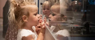 Museet i Linköping som nått nya höjder i sommar – så många besökare har dykt upp