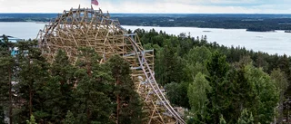 Grönt ljus för Wildfire när Kolmården slår upp portarna