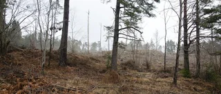 EU-projekt stöper om naturen