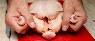 Tiotal sjukdomsfall av campylobacter i Västerbotten i sommar: ”Tänk på hygienen när du grillar” • Ökning av könssjukdomar – nivåer som innan pandemin