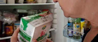 Nu är rötmånaden här – det här ska du tänka på • ”Den är vårt bästa tips”