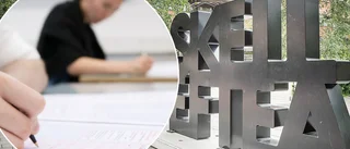 LISTA: Så har det gått det för Skellefteås politiker på högskoleprovet • ”Skrev provet tre gånger, resultatet blev bättre varje gång”