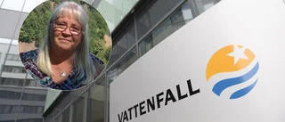 Återkommande strömavbrott i Ålberga: "Jag har tappat räkningen"
