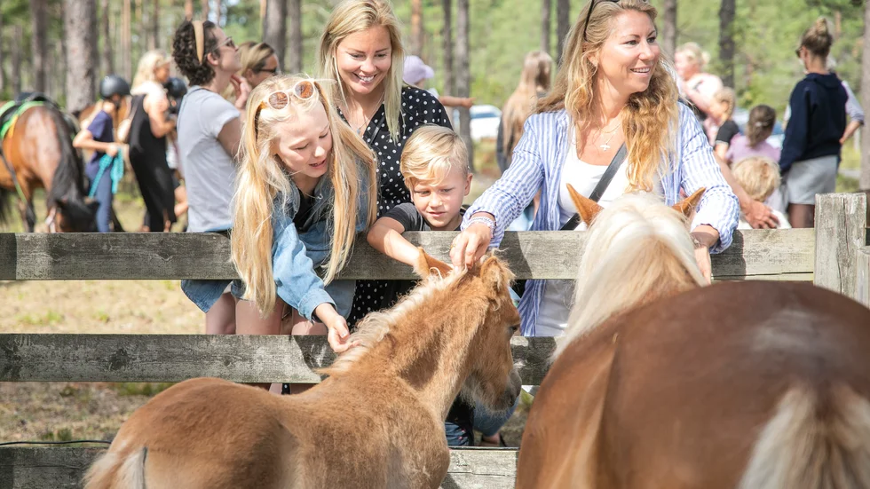 Det fanns gott om russ att klappa när flockens drygt 80 hästar samlats vid premieringen. Några av besökarna var Anna Knutas och Erika Falkemark, här med barnen Greta Falkemark och Colin Knutas.