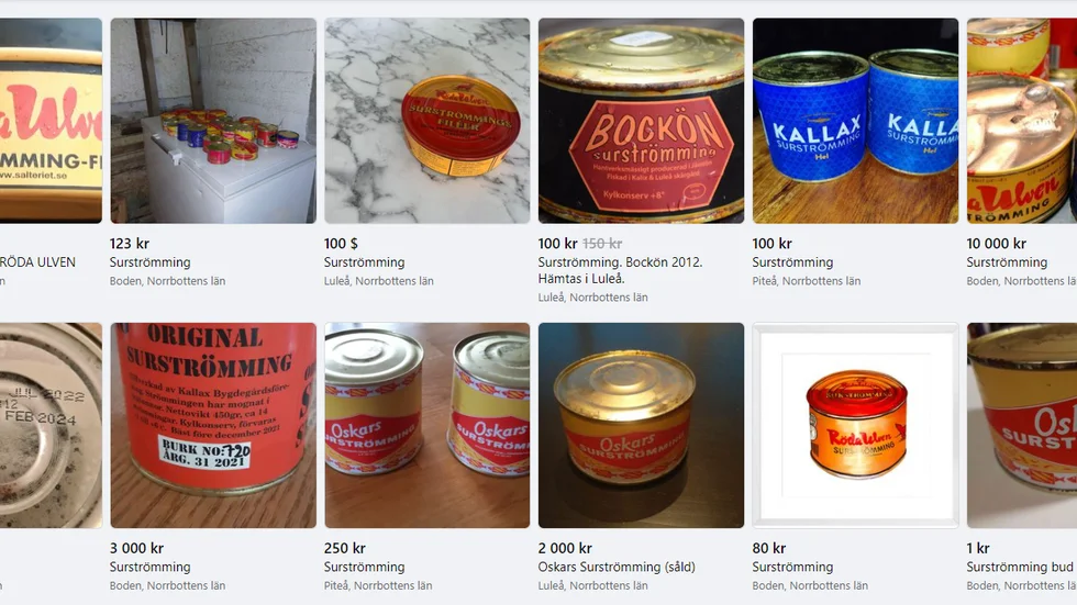 Många burkar med surströmming säljes för dyra summor på Facebook. 