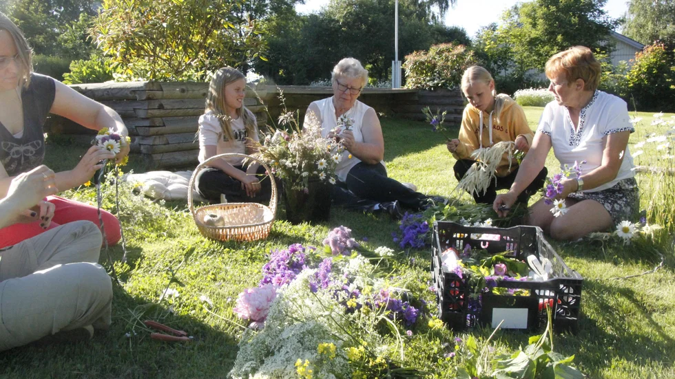 På torsdagskvällen kläddes midsommarstången inför fredagens firande.