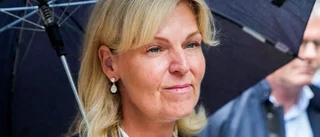 Regeringen inför kreditgaranti