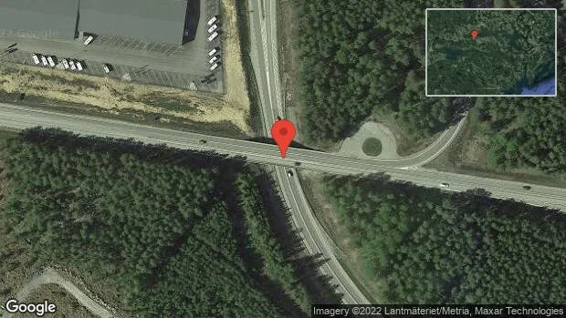 Rådjur på vägen på E20