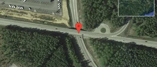 Rådjur på vägen på E20