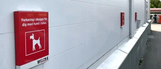 Skäms, latmaskar – låt hundägare få skuggplatserna!