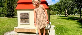 Vad gör du helst på sommarlovet? 