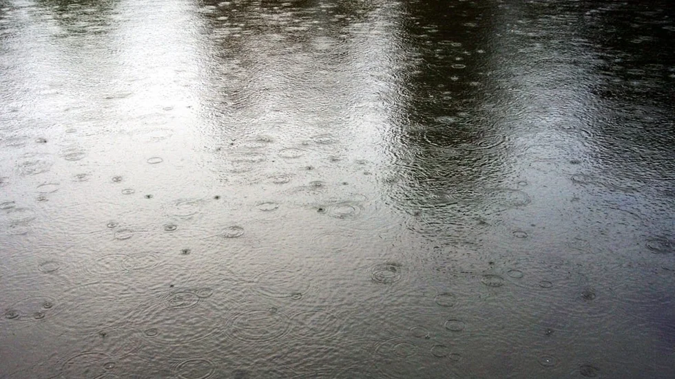 Regn genre