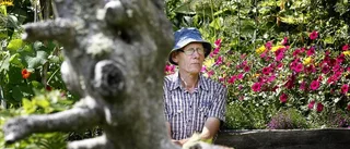 Remstam öppnar sin trädgård