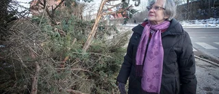 Traktor mejade ner Nyköpingsbons trädgård