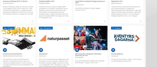 V marknadsförde sig på kommunens hemsida