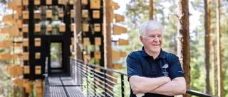 Treehotels åttonde rum – 37 kvadratmeter och 350 fågelholkar: "Hållbart och innovativt"