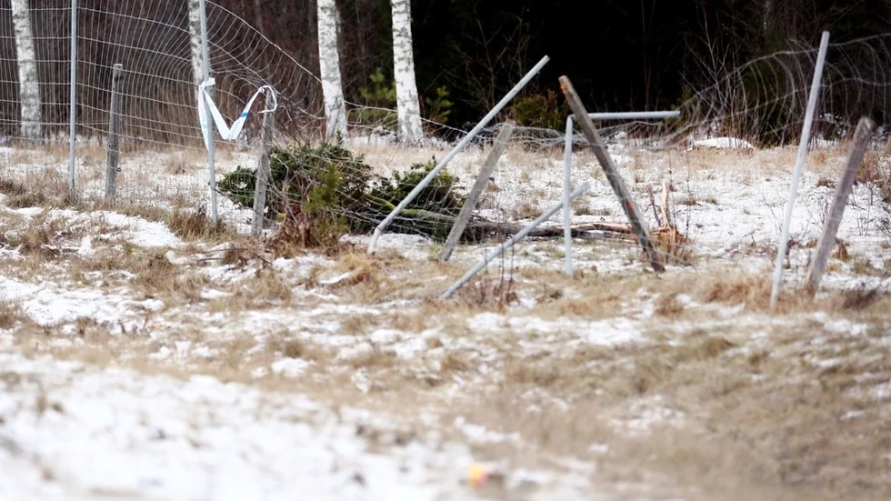 En bil körde rakt igenom viltstängslet efter att ha voltat flera varv på E 20 i närheten av Kjulaavfarten.