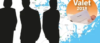 Val 2018: Vanligast att politiker hatas för sina åsikter om invandring
