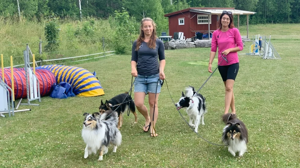 Louise Persson och Isabelle Jansson med sina fyra hundar. Isabelles framtidsdröm är att kunna bygga en inomhushall. 