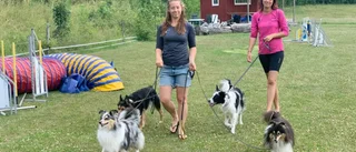 Hundinstruktörerna i Hannäs: "Köp inte en hund för att den är söt" 