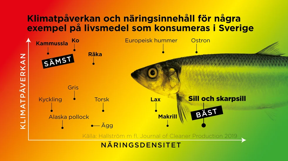 Klimatpåverkan och näringsinnehåll för några exempel på livsmedel som konsumeras i Sverige.