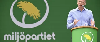 Miljöpartiet har spelat ut sin roll