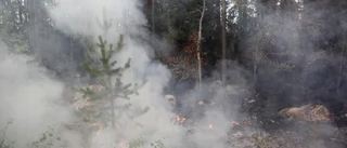 400 gånger 100 meter skogsbrand är nu släckt