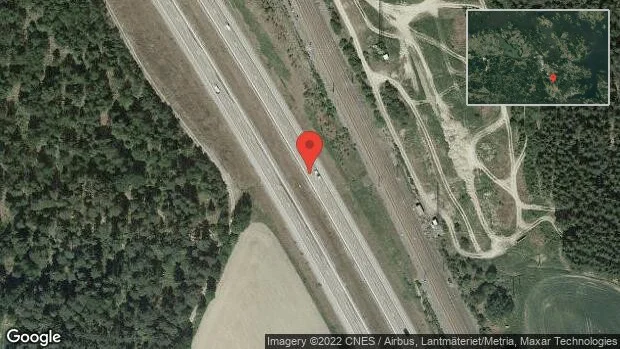 Älg på vägen på E20