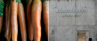 Intagen fick morot i maten trots allergi – anmäler Hällbyanstalten: "Kan leda till min död"