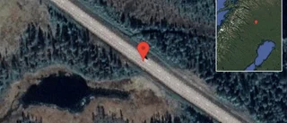Renar på vägen på E10