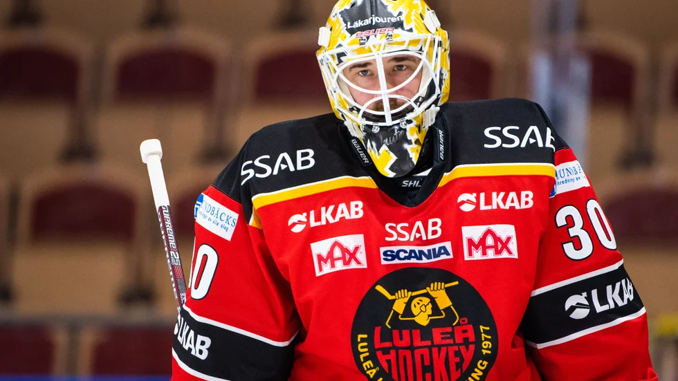 Luleå Hockeys veteran David Rautio.