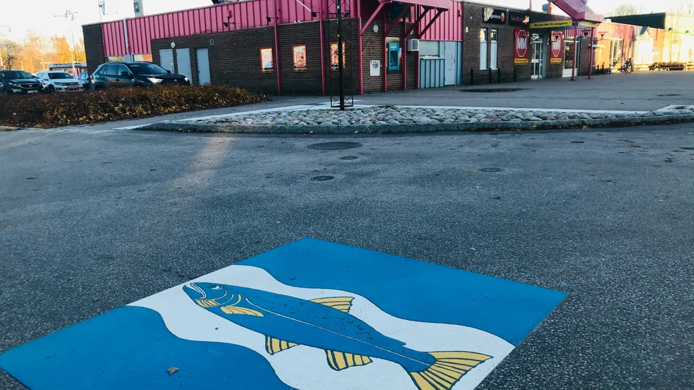 Laxen får olika reaktioner i Skutskär. 