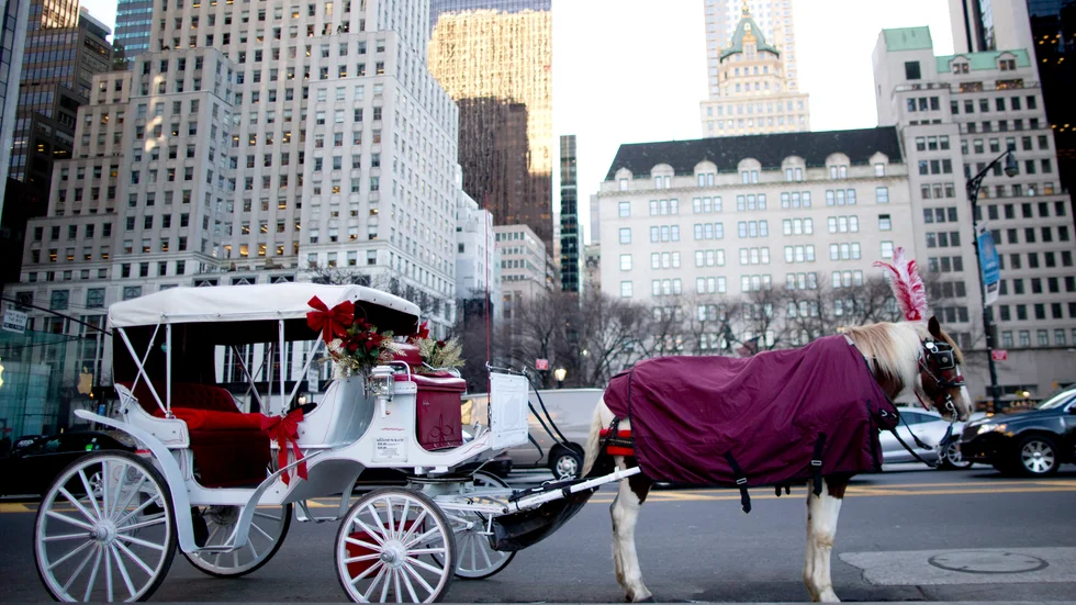 Häst och vagn vid Central Park i New York. Men det går inte strålande för stadens turistnäring och många hotell har fått lov att stänga. Arkivbild.